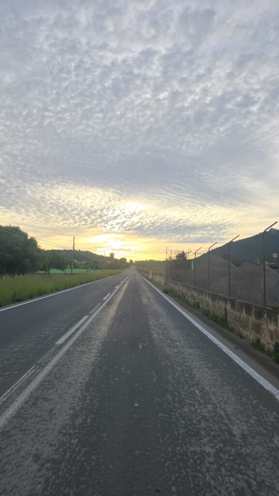 IMG-20241005-WA0002
